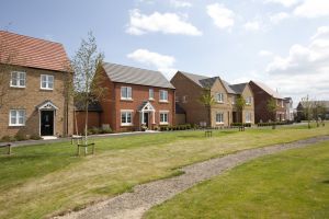 Ben Bailey Redlands Park Swaffham 8 sm.jpg